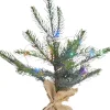 Elektriske Julelys<Sirius Bella Juletræ 20LED