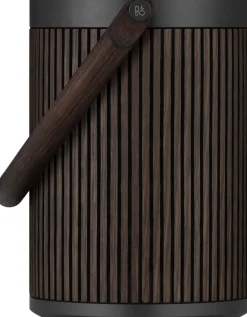 Elektronik<Bang & Olufsen Beosound A5