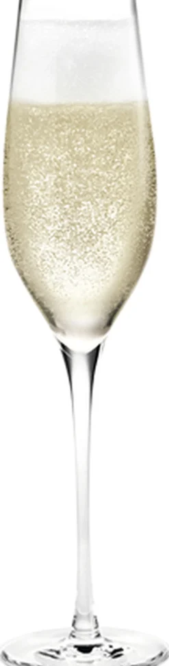 Glas<Holmegaard Cabernet Champagneglas klar 29 cl 6 stk.