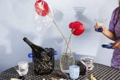 Karafler & Kander<BYON Carafe Swan