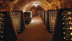 Bøger<Bøger Champagne - Wine of Kings and the King of Wines