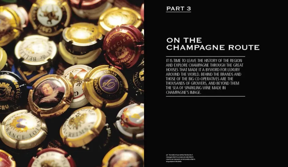 Bøger<Bøger Champagne - Wine of Kings and the King of Wines