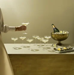 Glas<Eva Solo Champagne Coupe
