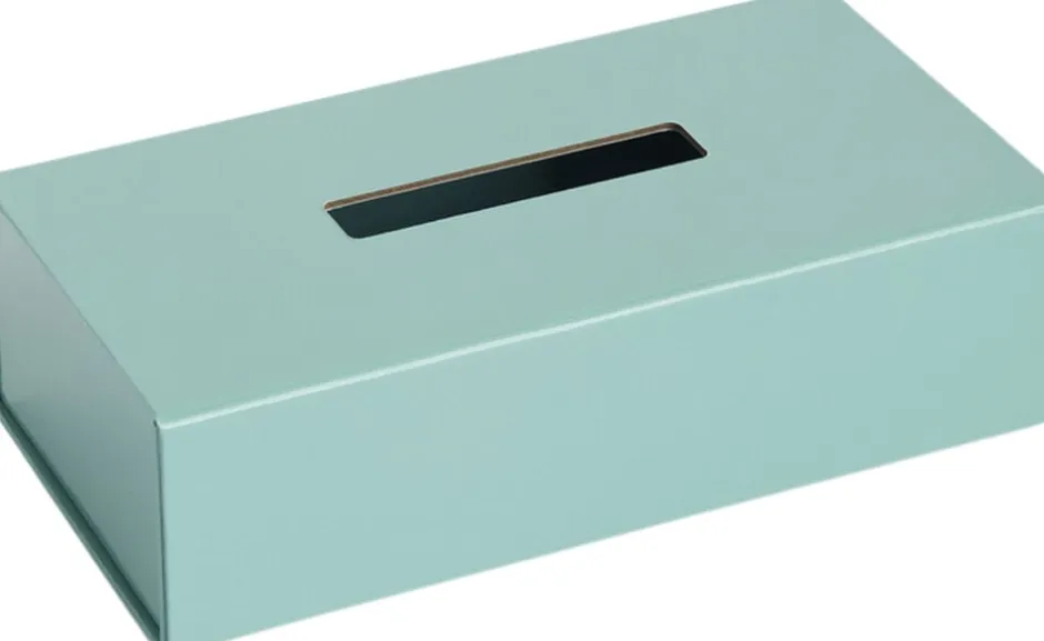 Kontorartikler<Hay Colour Storage Tissue Box