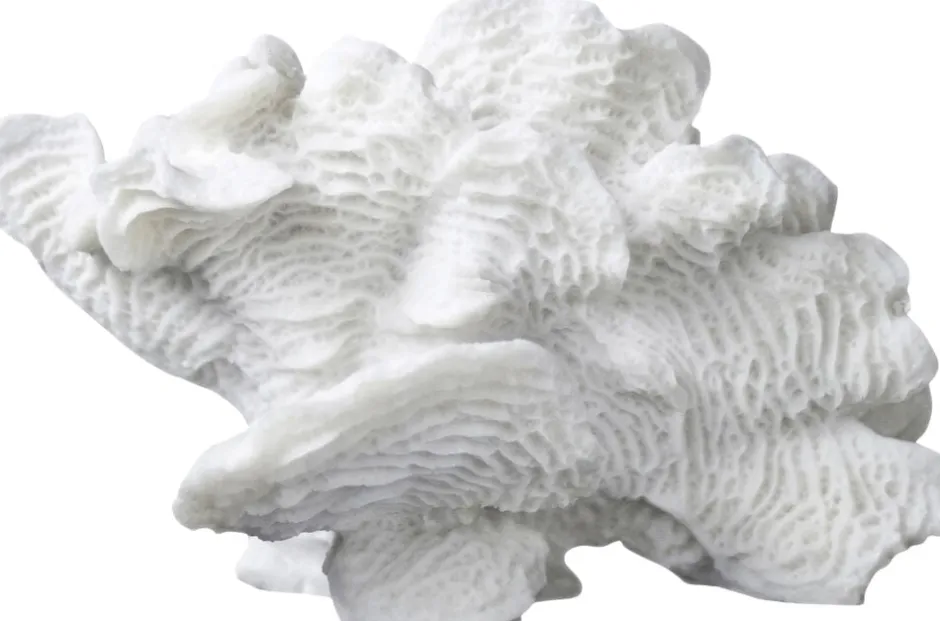 Figurer & Skulpturer<Mette Ditmer Coral, large fan