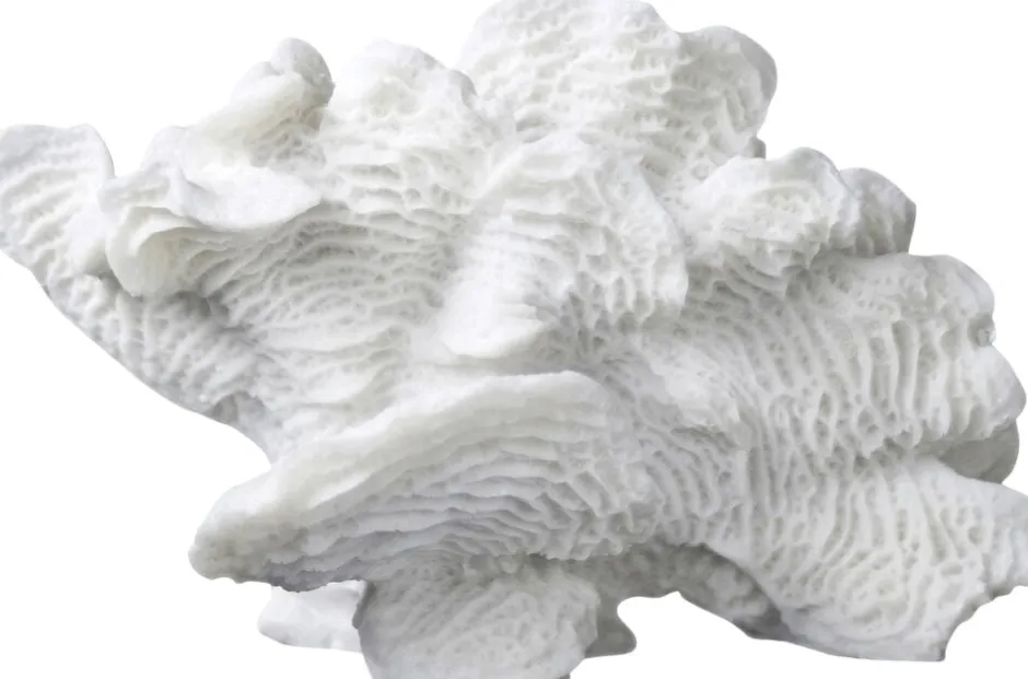 Figurer & Skulpturer<Mette Ditmer Coral, large fan