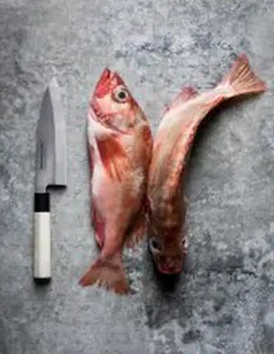Køkkenknive & Sakse<BUNMEI Debakniv 16,5 cm enkelslebet