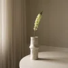 Figurer & Skulpturer<Botané Eremurus Large Foxtail Lily
