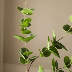 Kunstige Blomster & Træer<Botané Eucalyptus Three Leaves
