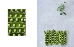 Bøger<New Mags Evergreen