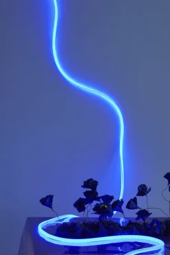 Lyskæder<Studio About FLEX TUBE, 5 M, BLUE