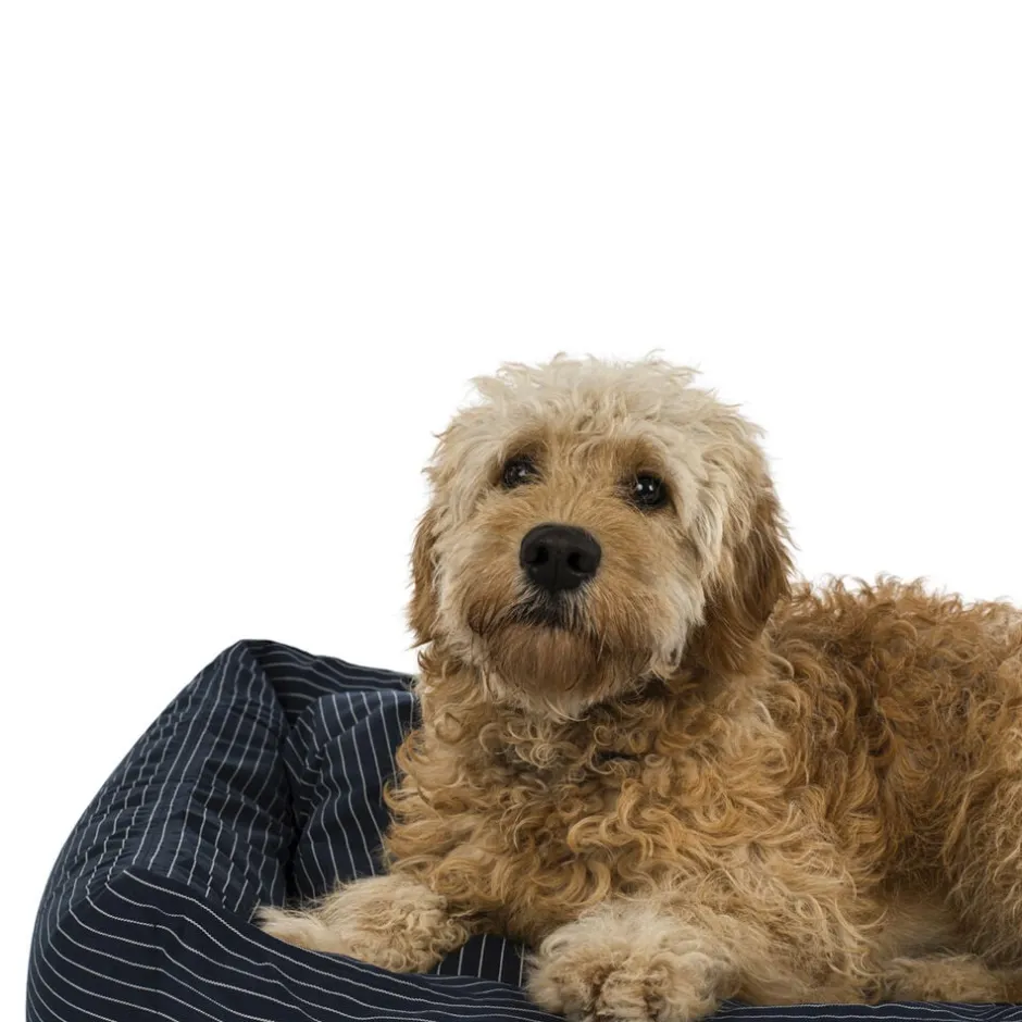 Puder|Til Boligens Kæledyr<Fossflakes Hundeseng Blue pinstripe