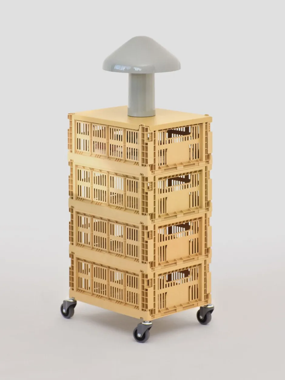 Opbevaring<Hay Colour Crate Lid Metal-Medium-G Golden yellow