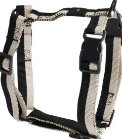 Til Boligens Kæledyr<Hay Dogs Harness-Medium-Black, whit