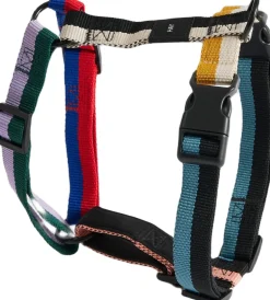 Til Boligens Kæledyr<Hay Dogs Harness-Medium-Multi colou