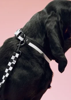 Til Boligens Kæledyr<Hay Dogs Leash-Flat Check M/L-Black