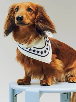 Til Boligens Kæledyr<Hay Dogs Scarf Recycled-55 x 55-O