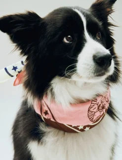 Til Boligens Kæledyr<Hay Dogs Scarf Recycled-55 x 55-P
