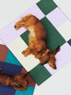 Til Boligens Kæledyr<Hay Dogs Travel Blanket-80 x 80-Bur
