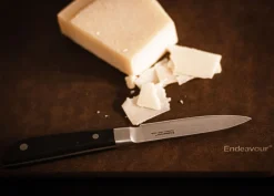 Køkkenknive & Sakse<Endeavour Herb - kniv 8,5 cm