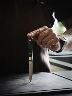 Køkkenknive & Sakse<Endeavour Herb - kniv 8,5 cm