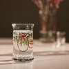 Glas<Holmegaard Christmas Julevandglas 2025 28 cl multi