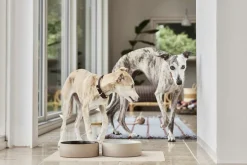 Til Boligens Kæledyr<OYOY Living Design Koko Hundeskål Måtte