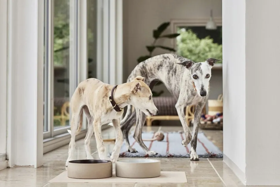 Til Boligens Kæledyr<OYOY Living Design Koko Hundeskål Måtte