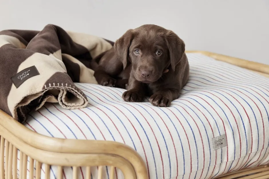 Til Boligens Kæledyr<OYOY Living Design Otte Hundeseng - Lille