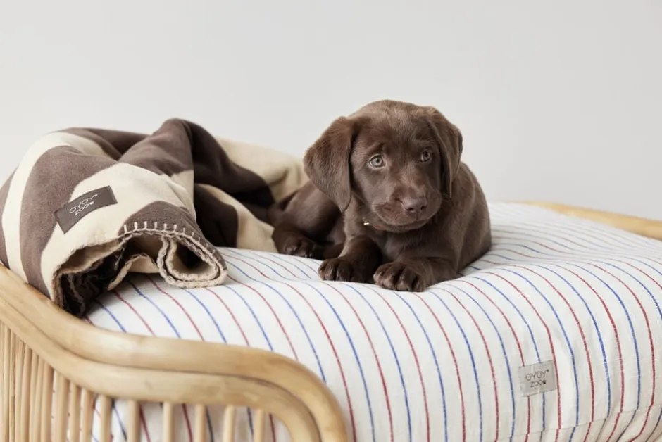 Til Boligens Kæledyr<OYOY Living Design Otte Hundeseng - Lille