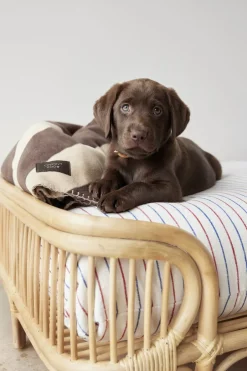 Til Boligens Kæledyr<OYOY Living Design Otte Hundeseng - Medium