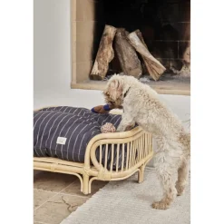 Til Boligens Kæledyr<OYOY Living Design Otto Hunde Reblegetøj