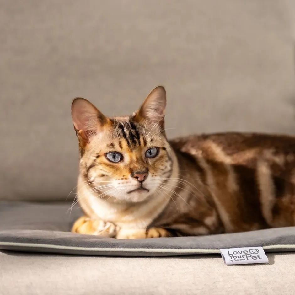 Til Boligens Kæledyr<Beurer PetCare PP 210 Lilli Varmemåtte til kæledyr 41x34 cm
