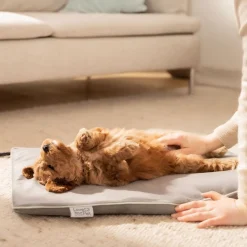 Til Boligens Kæledyr<Beurer PetCare PP 210 Lilli Varmemåtte til kæledyr 41x34 cm