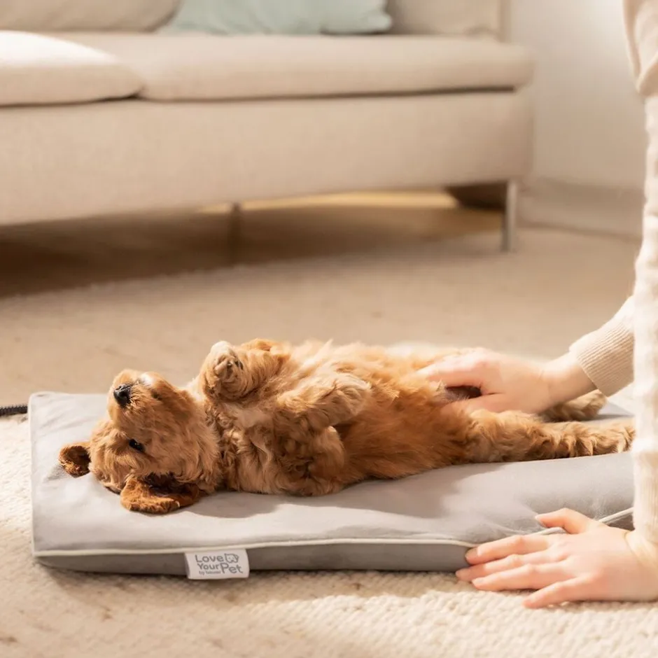 Til Boligens Kæledyr<Beurer PetCare PP 210 Lilli Varmemåtte til kæledyr 41x34 cm