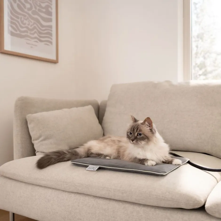 Til Boligens Kæledyr<Beurer PetCare PP 210 Lilli Varmemåtte til kæledyr 41x34 cm