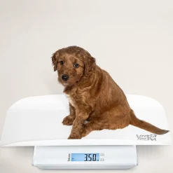 Til Boligens Kæledyr<Beurer PetCare PP 170 Polly Multifunktionsvægt til kæledyr