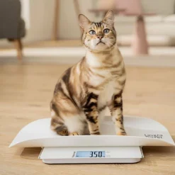 Til Boligens Kæledyr<Beurer PetCare PP 170 Polly Multifunktionsvægt til kæledyr