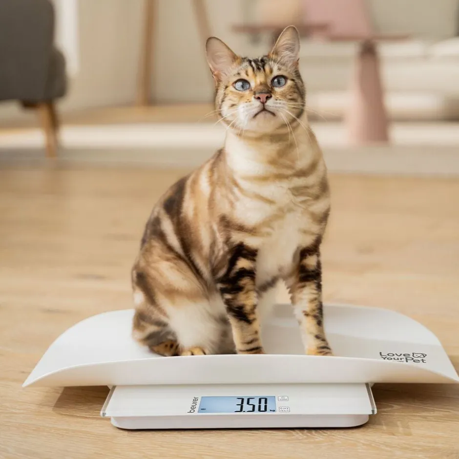 Til Boligens Kæledyr<Beurer PetCare PP 170 Polly Multifunktionsvægt til kæledyr
