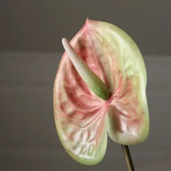 Kunstige Blomster & Træer<Botané Pink Medium Anthurium Flower