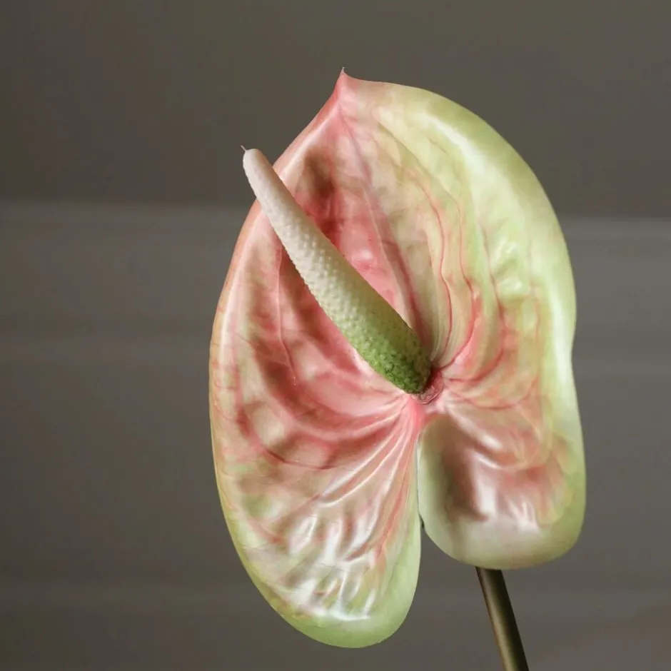 Kunstige Blomster & Træer<Botané Pink Medium Anthurium Flower