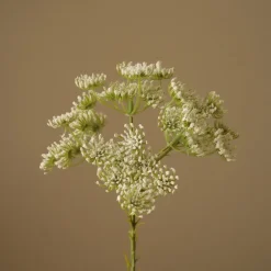 Kunstige Blomster & Træer<Botané Queen Anne's Lace Flower