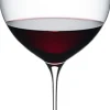 Glas<Riedel Superleggero Machine Bordeaux Grand Cru 6425/00 - 1 stk