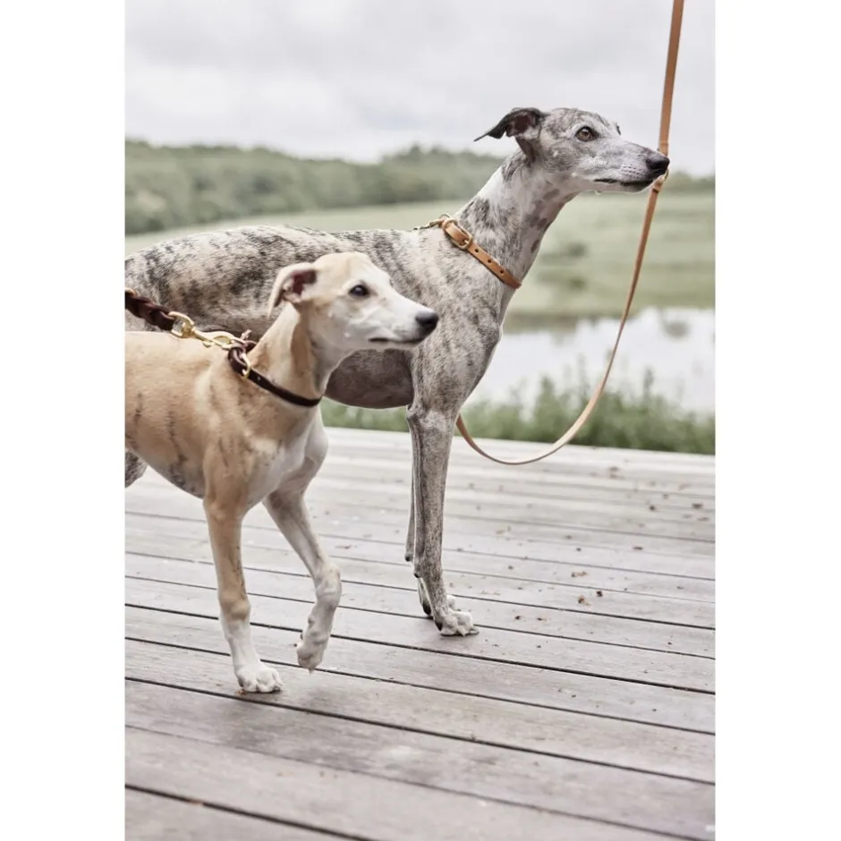 Til Boligens Kæledyr<OYOY Living Design Robin Hundehalsbånd - Lille