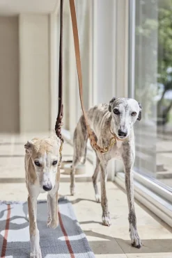Til Boligens Kæledyr<OYOY Living Design Robin Hundesnor - M/L