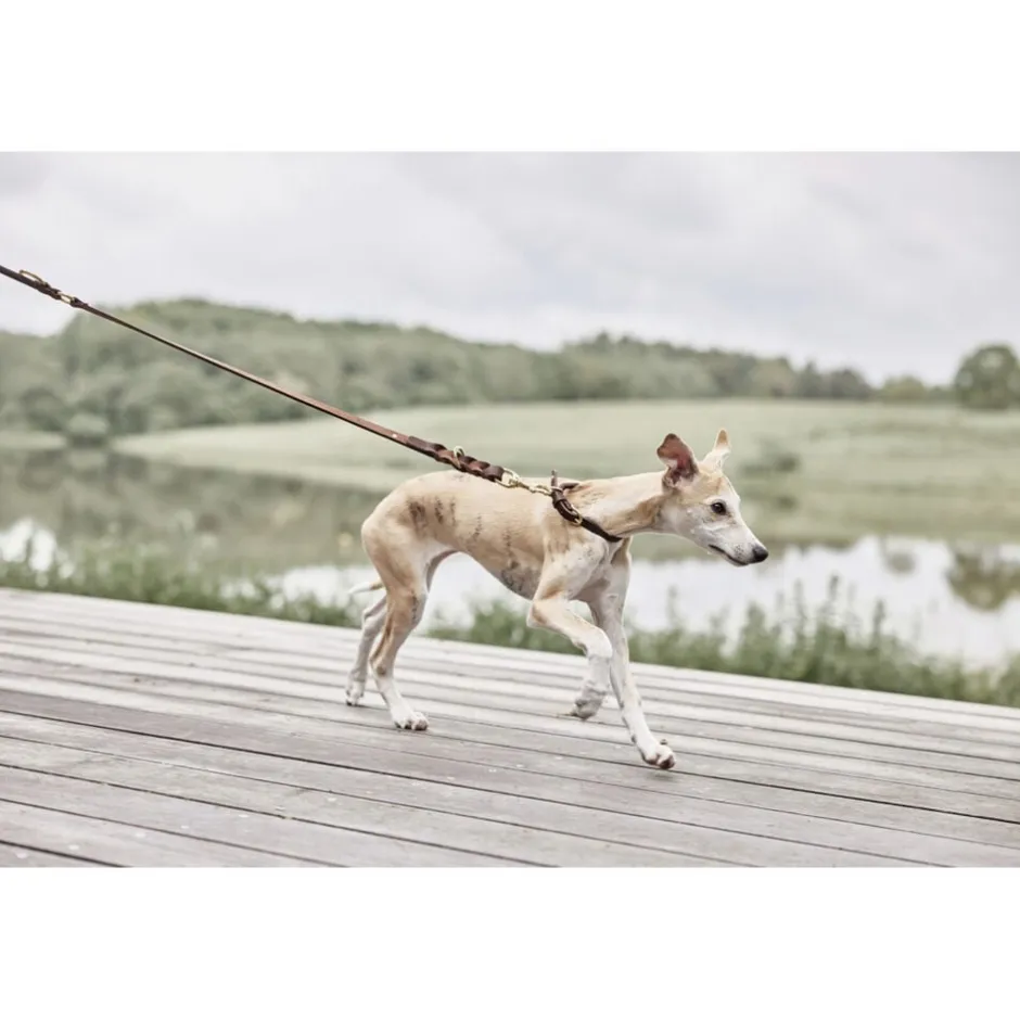 Til Boligens Kæledyr<OYOY Living Design Robin Hundesnor - M/L