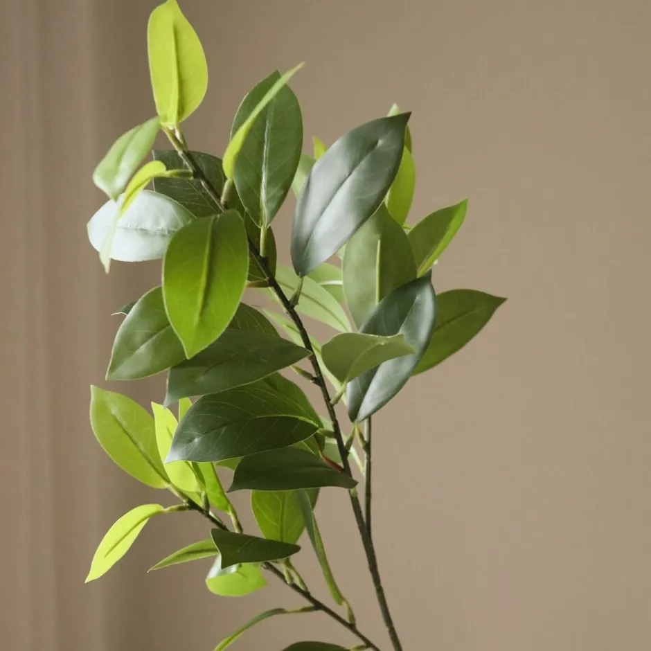 Kunstige Blomster & Træer<Botané Ruscus Leaves
