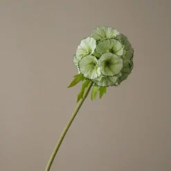 Kunstige Blomster & Træer<Botané Scabiosa Seed Pod Flower