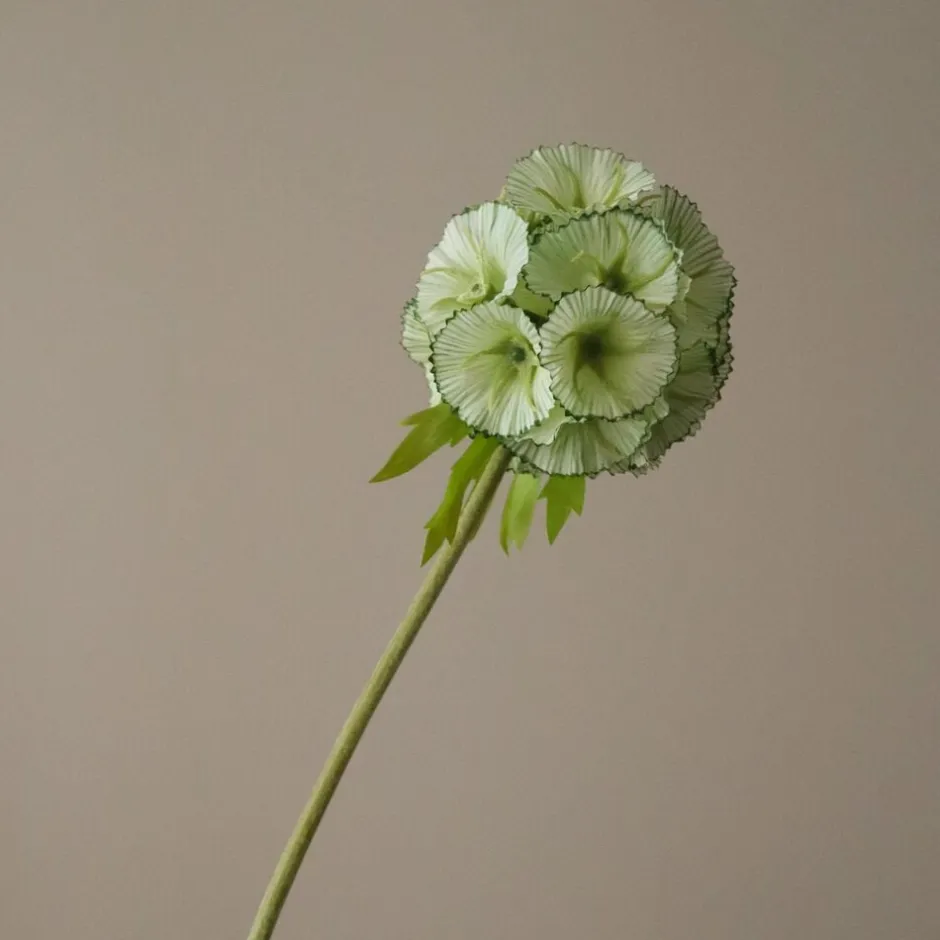 Kunstige Blomster & Træer<Botané Scabiosa Seed Pod Flower