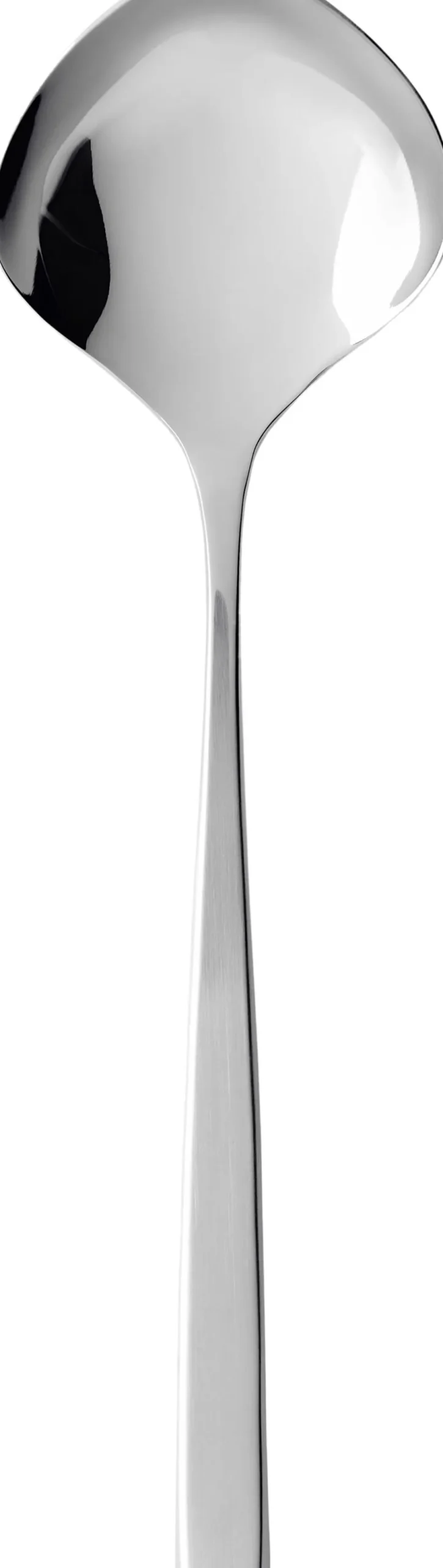 Bestik<Gense Serveringsske Fuga 22,5 cm Mat/Blankt stål